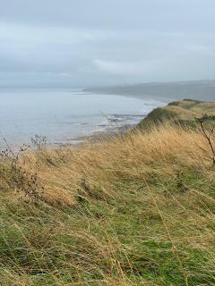 That's where we were yesterday - looking back towards Horden Beach